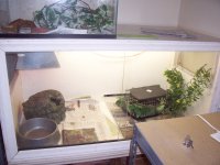 100_4386.jpg