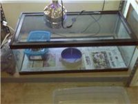 30 gallon tank.jpg