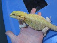 IMG_1650.jpg