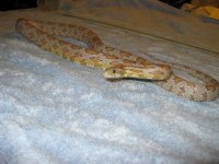 IMG_0623.jpg