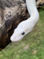 IMG_6768.jpg