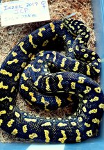IxzekJCP1.jpg