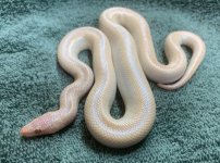 unnamed (18).jpg