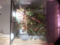 20201126_120259.jpg
