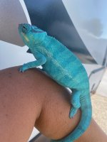 IMG_4121.jpg