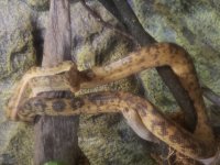 20201208_191715.jpg