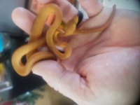 20201220_114143.jpg