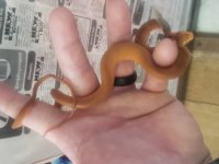 20201220_113851.jpg