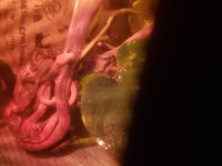 20201217_045712.jpg