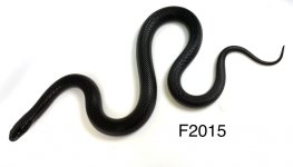 F7AECA61-B757-4F94-ACDE-F744795C2E07.jpg