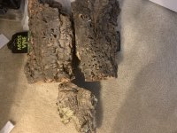 cork.jpg