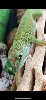 IMG_3522.jpg