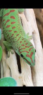 IMG_3523.jpg
