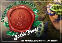 live arrival guaranteed Frogs amazon.jpg