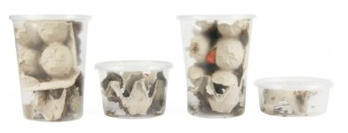 cricket_snack_packs.jpg