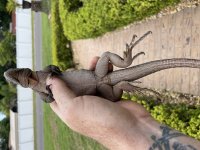 IMG_0226.jpg