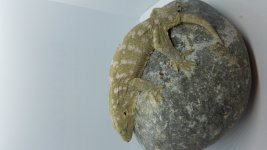 20201127_210856.jpg