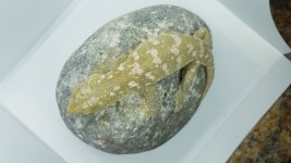 20201127_210904.jpg
