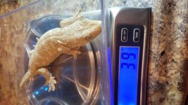 20201127_211027.jpg