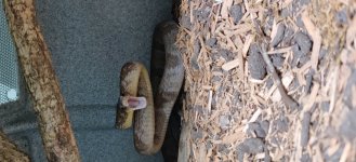 IMG_20201128_152834.jpg