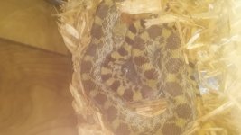 20201104_155746.jpg