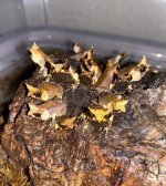 20201221_042837.jpg