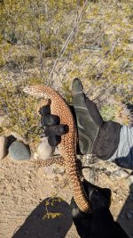 PXL_20201013_225356868.jpg
