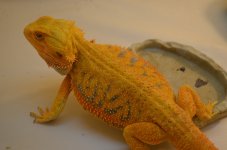 DSC_0708.jpg
