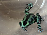 1C295951-6662-467B-B722-56BA56D43255.jpg