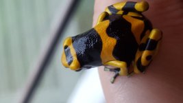 20150919_154108.jpg