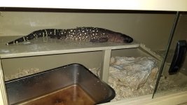 20200913_183013.jpg