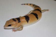 unnamed (15).jpg