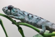 IMG_5405.jpg