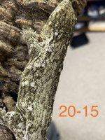 20 15 3.jpg