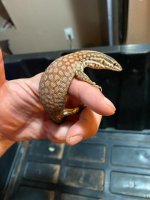 thumbnail (5).jpg
