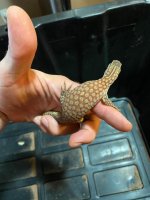 thumbnail (4).jpg
