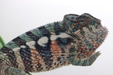 IMG_5399.jpg