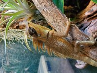 20201213_090057.jpg