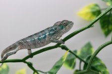 IMG_5696.jpg