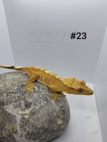20210617_160213.jpg