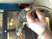 0FBAA1F4-00AA-46AC-8529-D9A38F5B94F3.jpg