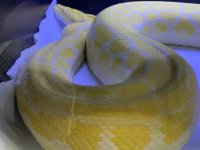 4D555E97-D2A4-4557-BBC6-9888D6C9D906.jpg