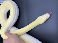 head2.jpg