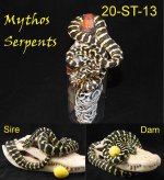 20-ST-13.jpg