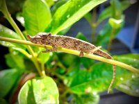 IMG_7692.jpg