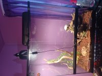 terrarium.jpg