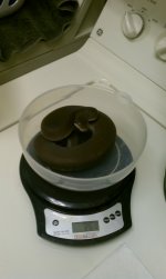 IMAG0330.jpg