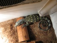 Bik-Animals 038.jpg