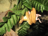 JemATB11_2_10a.JPG