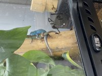 IMG_4627.jpg